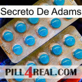 Adams Secret new08